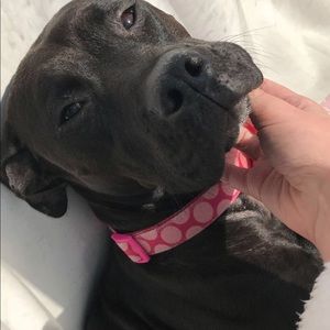 Meet your Posher, Mari